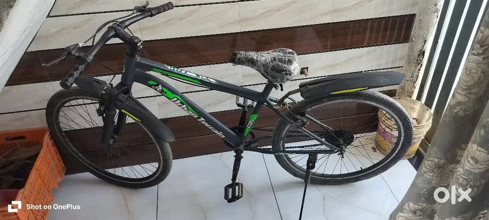 Brand new condition cycle hai