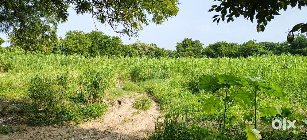 Tabela mate ( dairy farm), Godown mate bhade aapva nu che