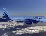 Freshers apply fast male female both are welcome indigo. Ground Staff