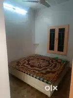 2 single room available for rent