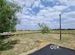 Dtcp plots sale