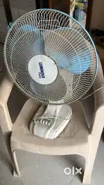 Table fan luminous