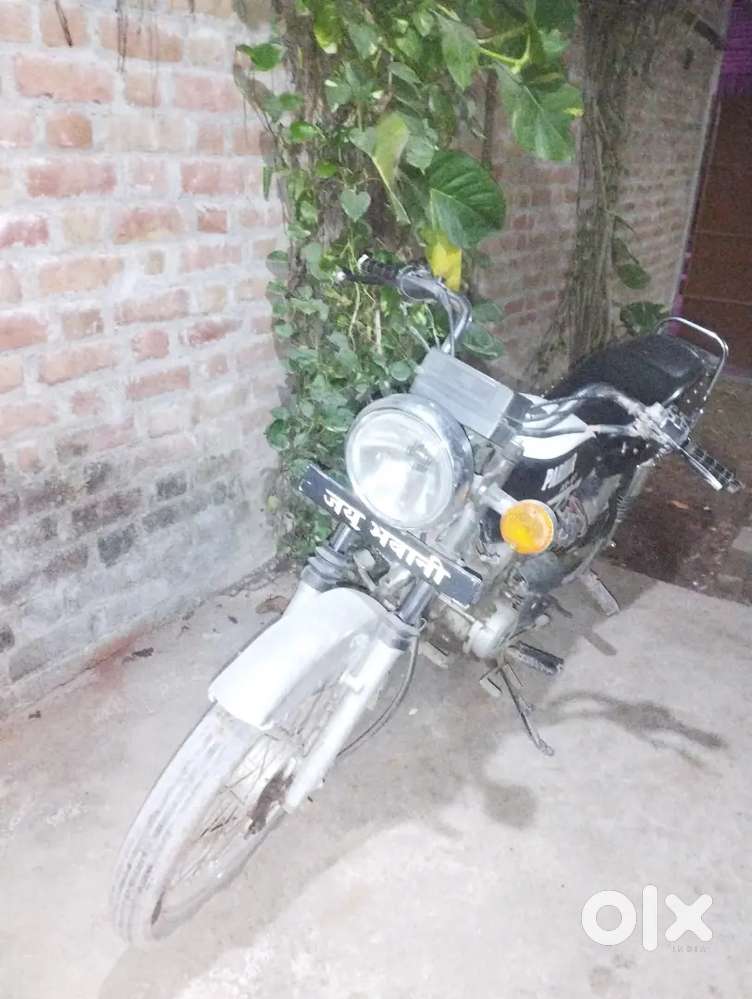 Working model urgent  needs money