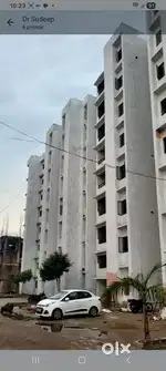 Big society in very silent nature