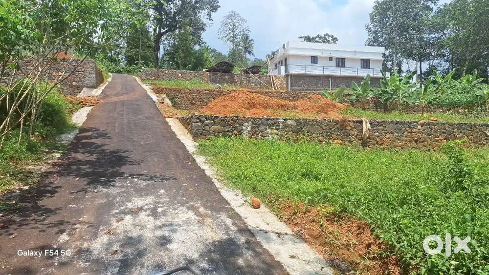 12 Cent square House plot land for sale Mutholy kadavu Cherpunkal Pala