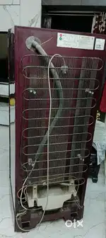 Whirlpool Refrigerator