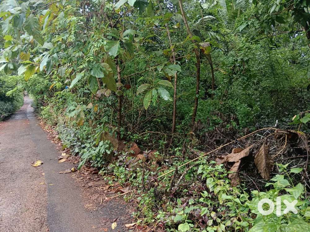 500 Mtrs from Chakkarakal Muzhappala Road