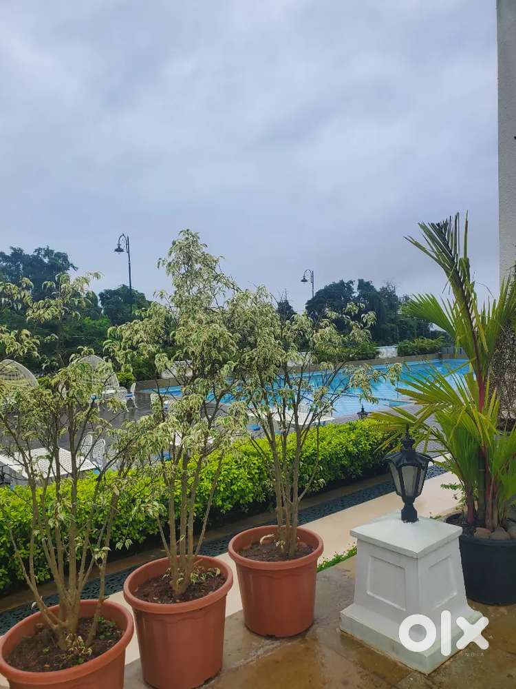 480 sq mt plot NA