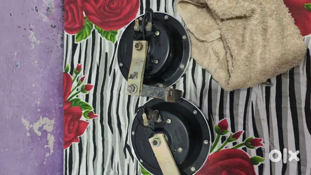 Horn roots all original, 2 month old