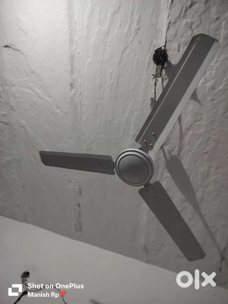 Tytan ceiling fan
