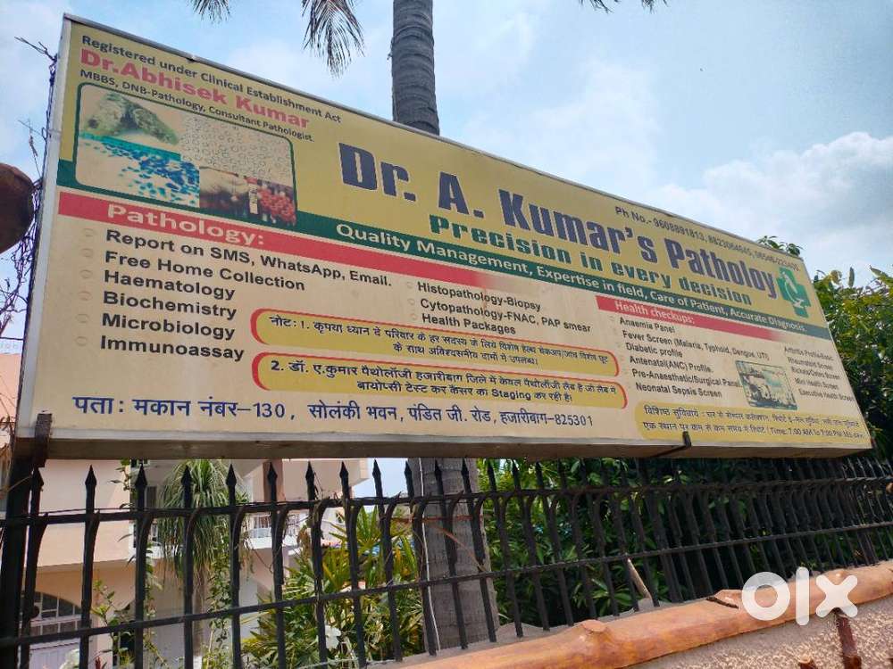 Domestic help for only Cleaning and Dusting.