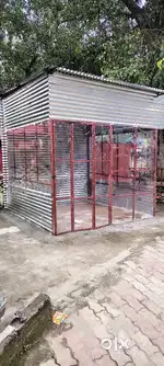 20 days old Shed for sale