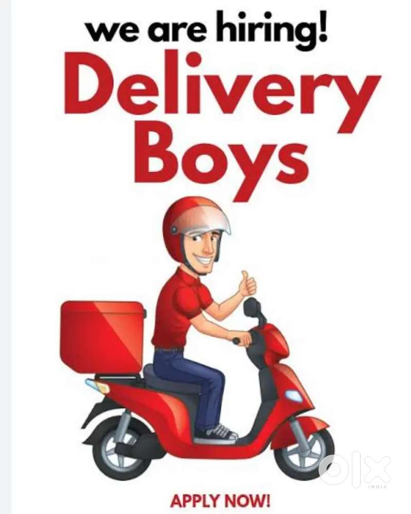 Delivery executive / partner