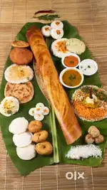 Tiffin Masters kavali