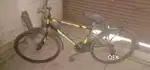 CC 800 custom cycle