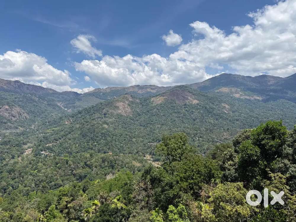 Munnar Anachal fog Vibe resort near 33 cent,75 cent LA pattayam Land