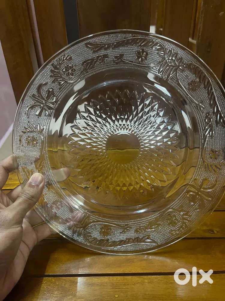 Glass transparent plate (24 nos)