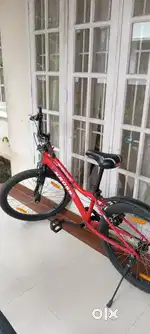 KROSS Unisex Spider Single Speed Bicycle 24T (9 To Any Years, Red )