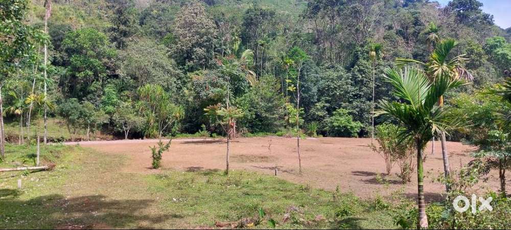 2 Acres of prime Commercial/ Residential plots in Vagamon