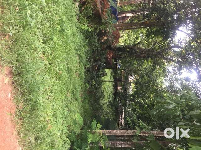 കൊടുമൺ - ഒറ്റത്തേക്ക് റോഡിൽ House Plot വിൽപ്പനയ്ക്ക്