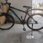Nice cycle