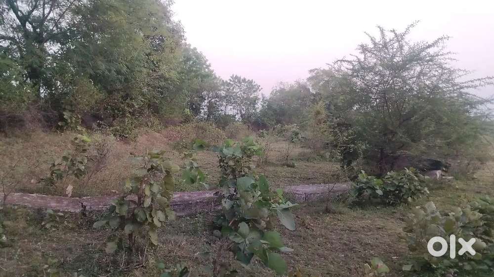 I want to sell plot at mopka