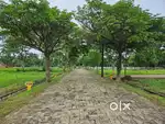 Plot Available Near Santoshi Nagar Raipur.