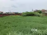 18 biswa ka plot Main GT road pe , Baraut Handia me