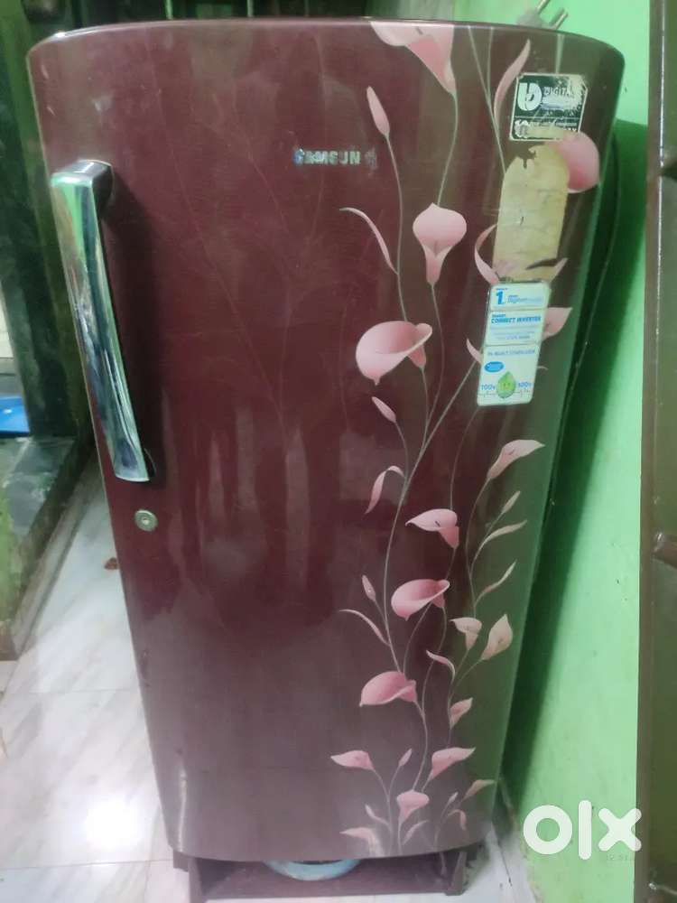 Fridge buy for 5 thousands and want to sell  2500 thousand not damage