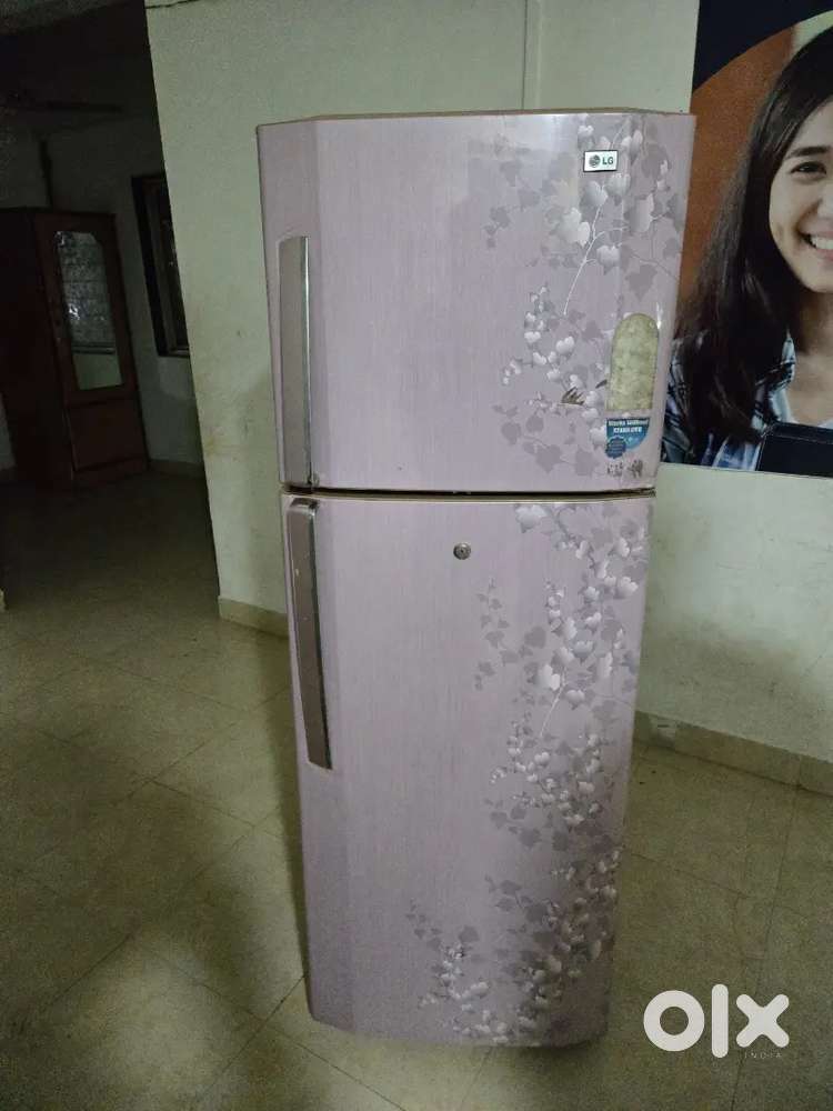 L.G. Fridge