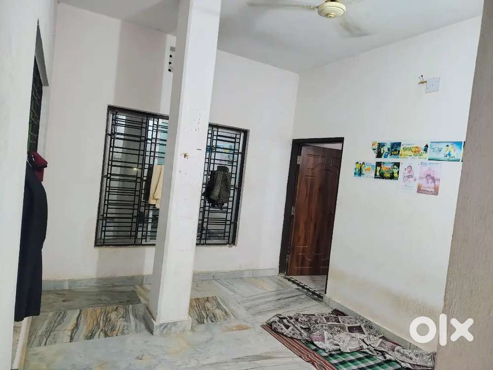 Decent Bachelor boys