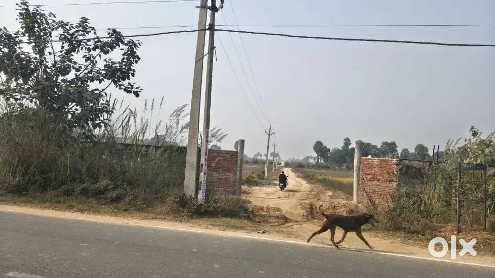 Residential and investment plots Gaya ji