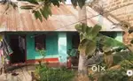 PLOT WITH ASBESTOS WOOD CEILLING HOUSE, WELL, 7 YOUNG COCONUT TREE