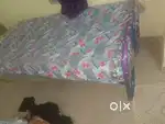 Single metal frame cot