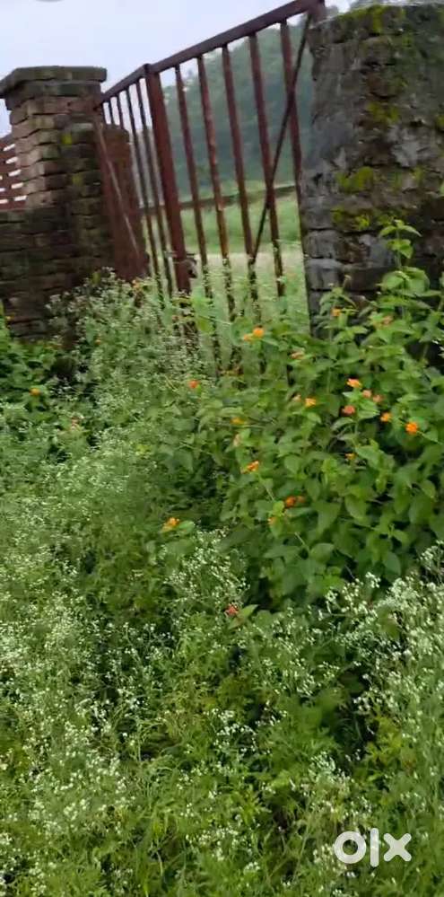 A beautiful location pilot