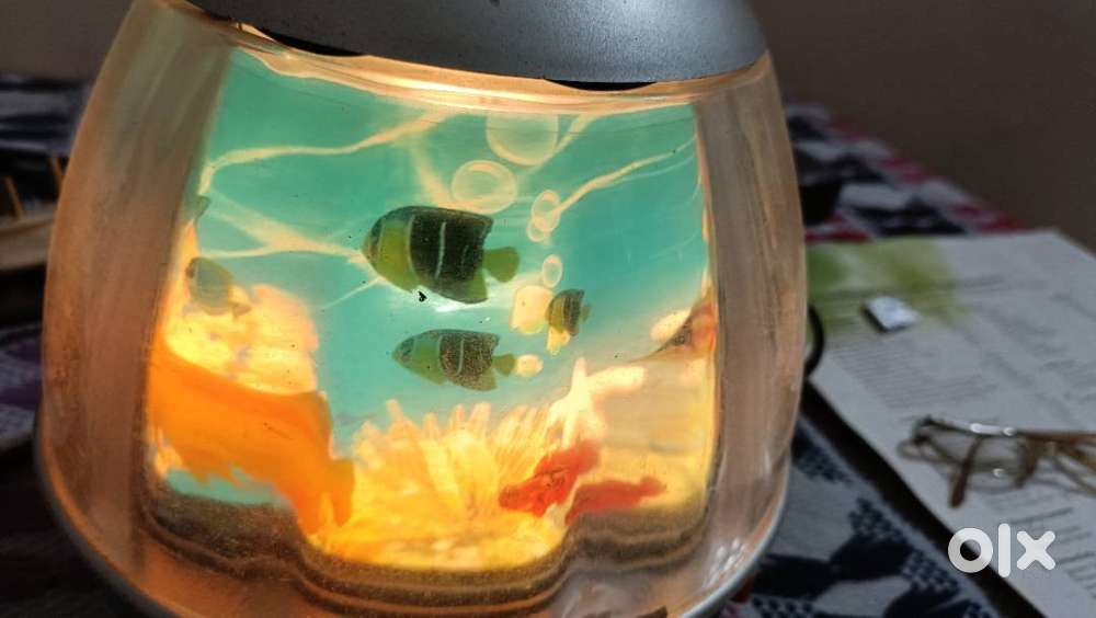 Decorative Lamp for ONLY Rs 300