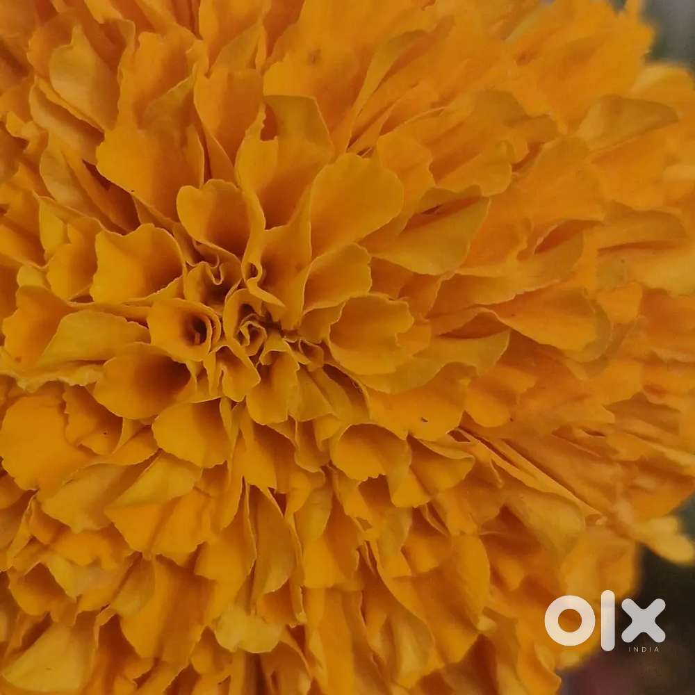 We need a person for office work and supply in hospital