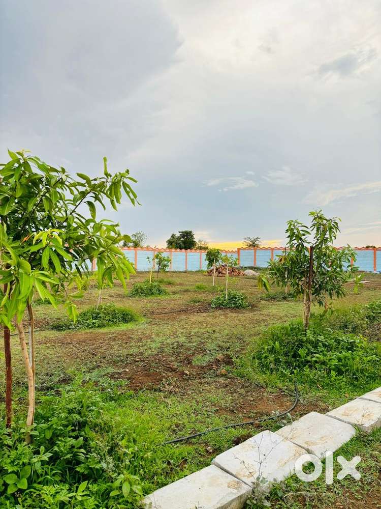 Per syd 1899/- , AMANAGAL, SHREESHAILAM HAIWAY , FARM LAND VENC