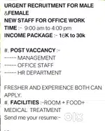 Office Staff Recruitment