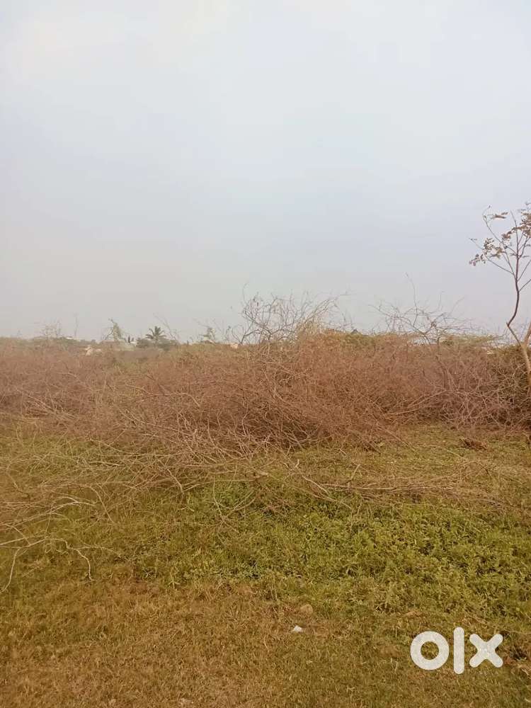 Patta dtcp aproved kundrthur near