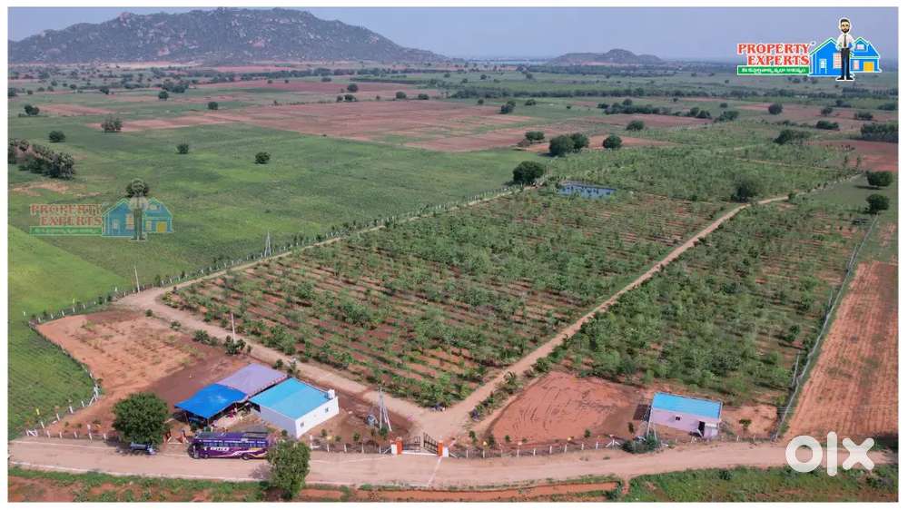 100 gajalu oka lakh rupailu matrame