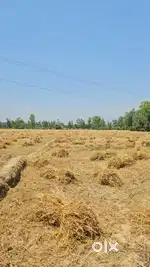 Sankerpur Near by Selaqui