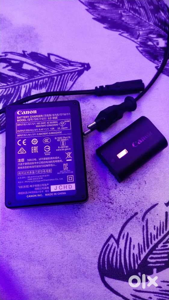 Original Canon battery & charger