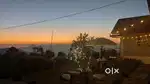 Cook for honestay
