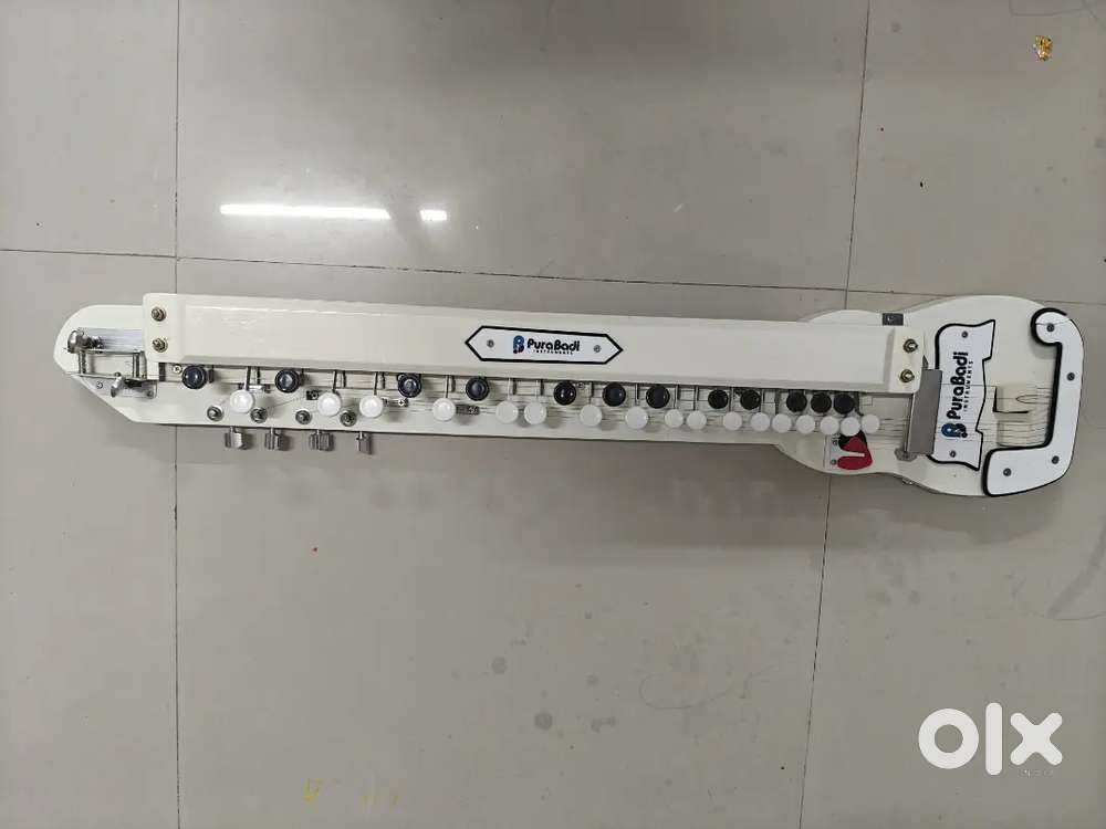 Electric Banjo /Bulbultarng (Almost unused)