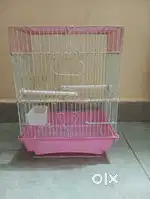 A sweet home for your Bird
