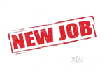Male and female Candidate apply now Job