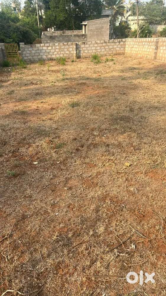 Under Gvmc registration