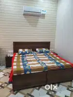 Newly built 1Rk fully furnished owner free