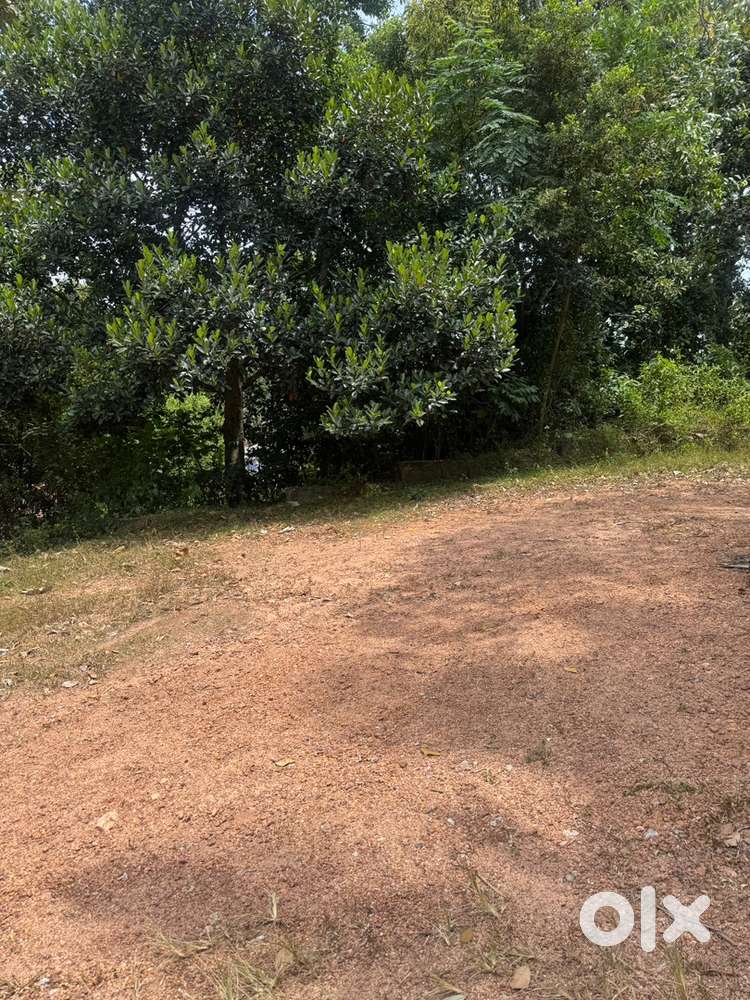 FOR SALE 10.5 CENT PREMIUM SEMI RESIDENTIAL PLOT  LULUMALL TRIVANDRUM